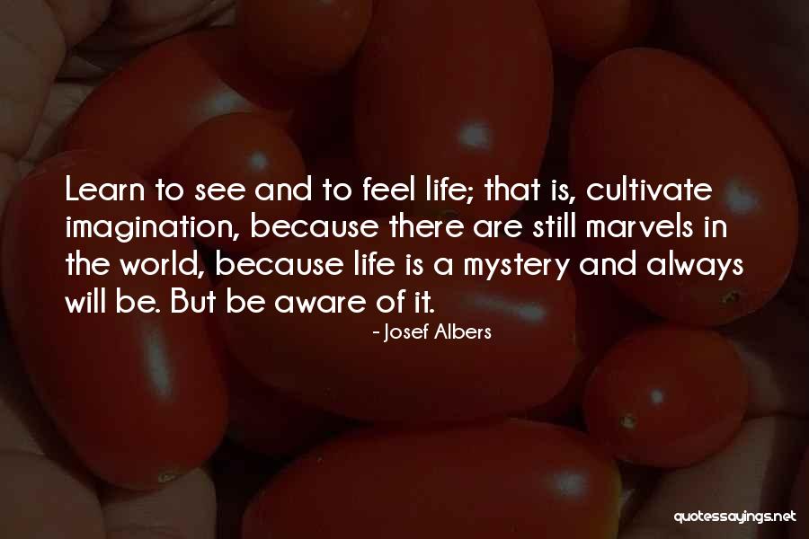 Starcevich Quotes By Josef Albers Starcevich Quotes By Josef Albers