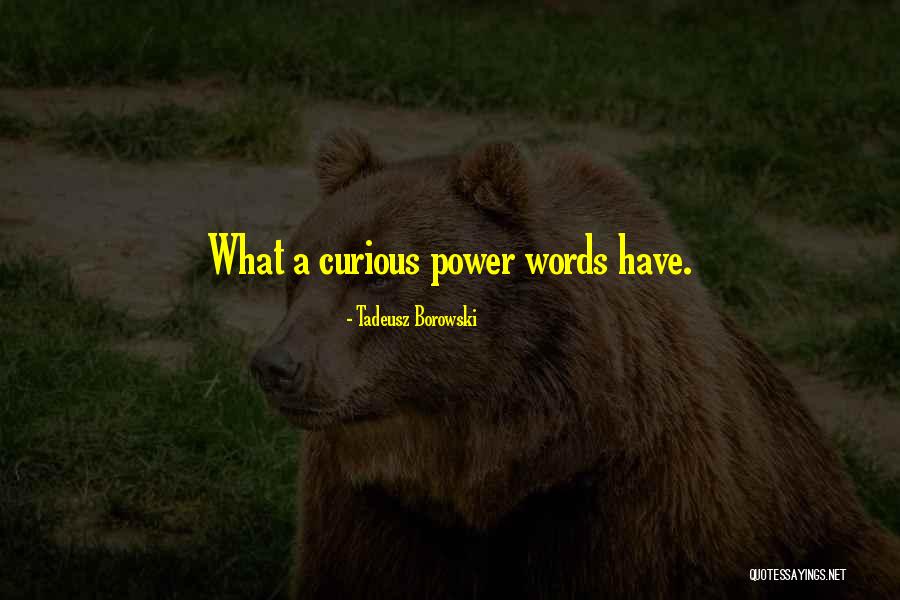 Starchiest Quotes By Tadeusz Borowski