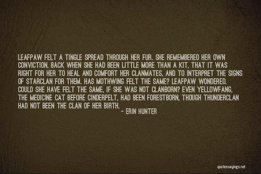 Starclan Cat Quotes By Erin Hunter Starclan Cat Quotes By Erin Hunter