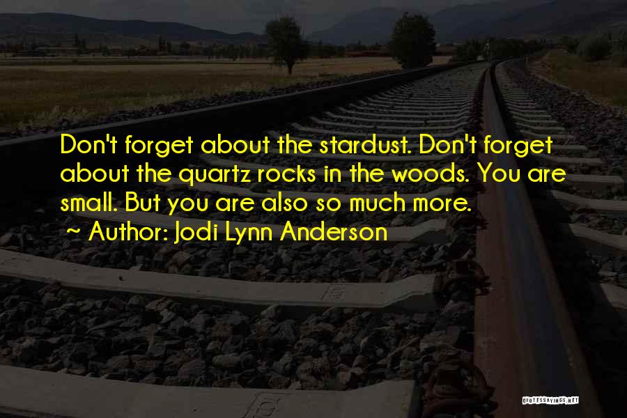 Stardust Quotes By Jodi Lynn Anderson