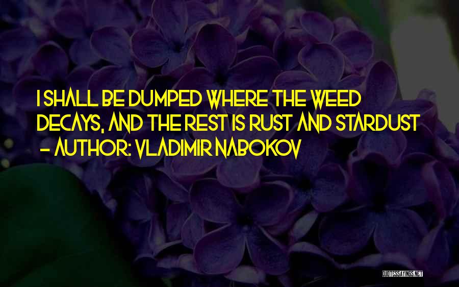 Stardust Quotes By Vladimir Nabokov