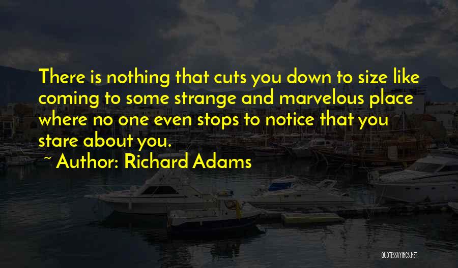 Stare Down Quotes By Richard Adams