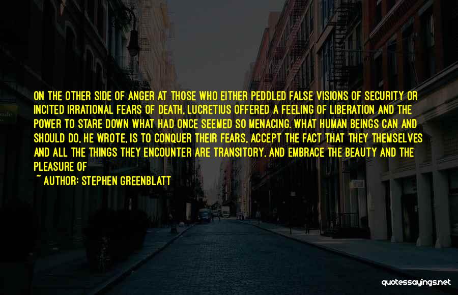 Stare Down Quotes By Stephen Greenblatt