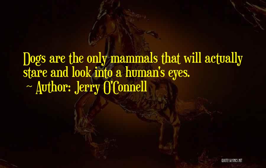 Stare Into Eyes Quotes By Jerry O'Connell