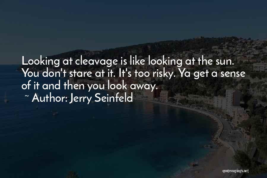 Stare Into The Sun Quotes By Jerry Seinfeld