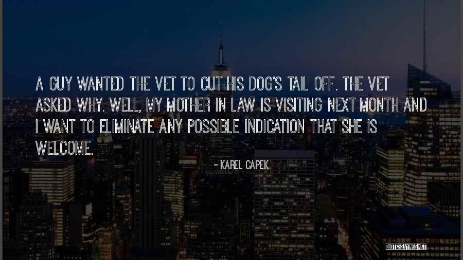 Starer Rizzo Quotes By Karel Capek Starer Rizzo Quotes By Karel Capek