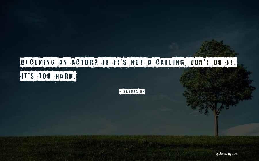 Starfury Thunderbolts Quotes By Sandra Oh Starfury Thunderbolts Quotes By Sandra Oh