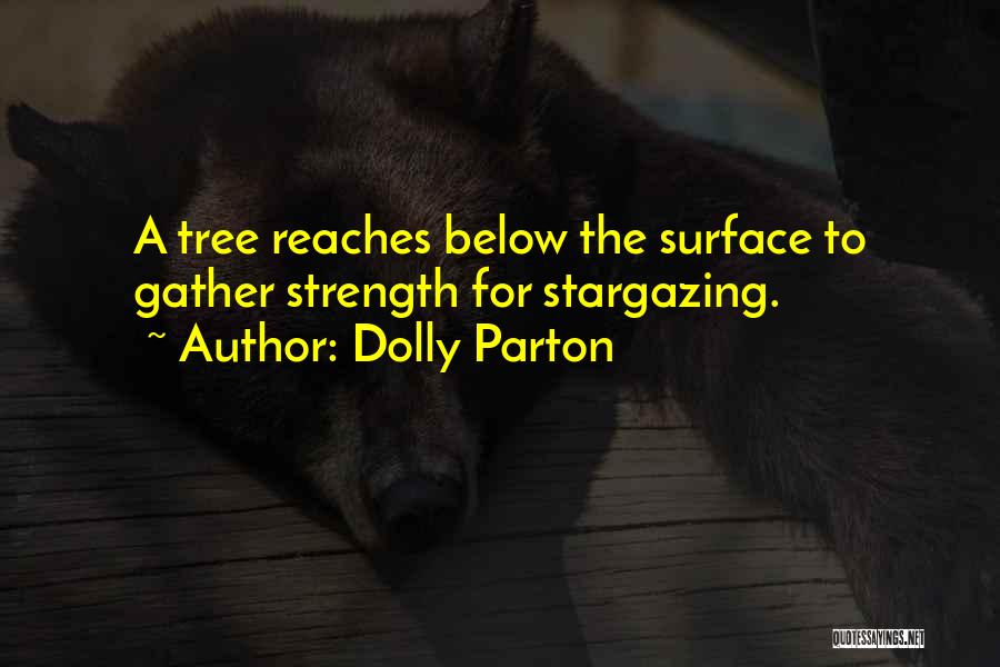 Stargazing Quotes By Dolly Parton