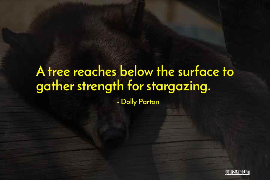 Stargazing Quotes By Dolly Parton