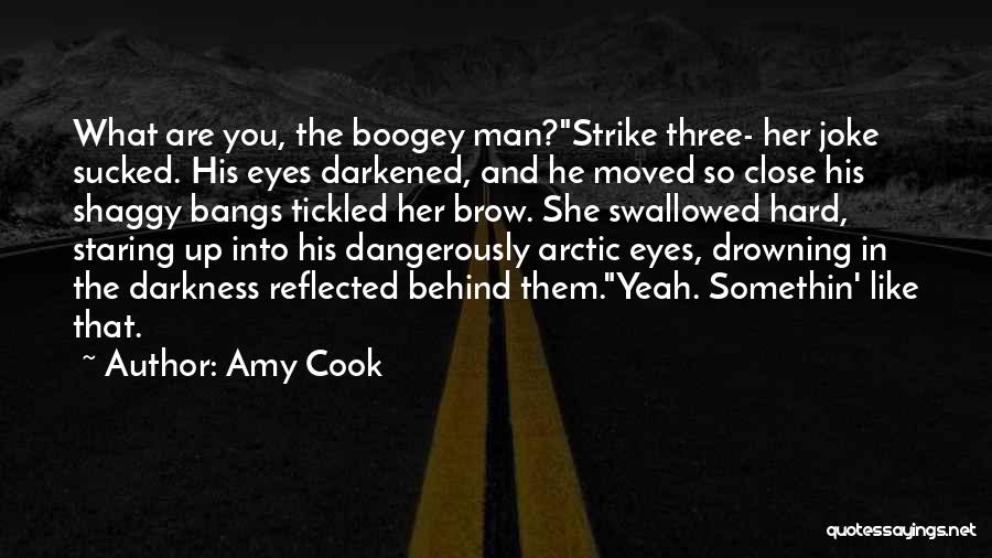 Staring Into His Eyes Quotes By Amy Cook