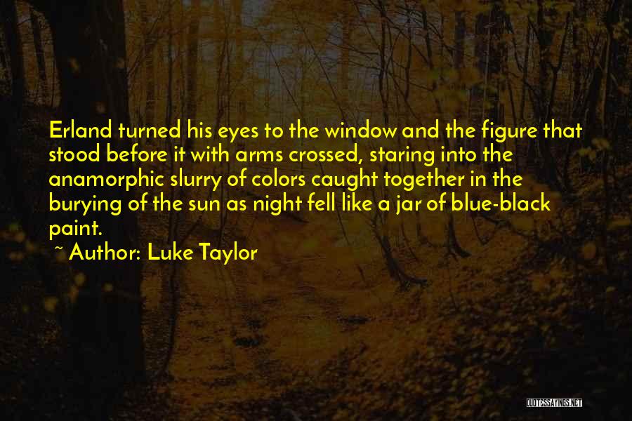 Staring Into His Eyes Quotes By Luke Taylor