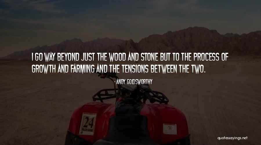 Starlighter Quotes By Andy Goldsworthy Starlighter Quotes By Andy Goldsworthy