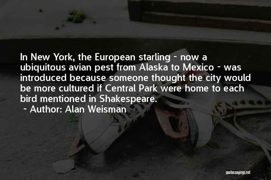Starling Bird Quotes By Alan Weisman Starling Bird Quotes By Alan Weisman