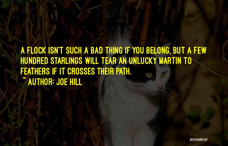 Starlings Quotes By Joe Hill