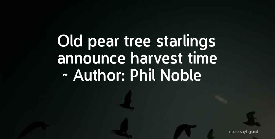 Starlings Quotes By Phil Noble