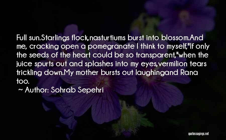 Starlings Quotes By Sohrab Sepehri