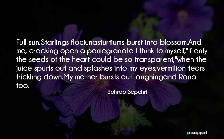 Starlings Quotes By Sohrab Sepehri