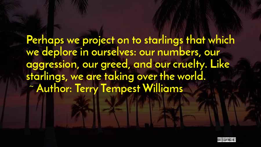 Starlings Quotes By Terry Tempest Williams