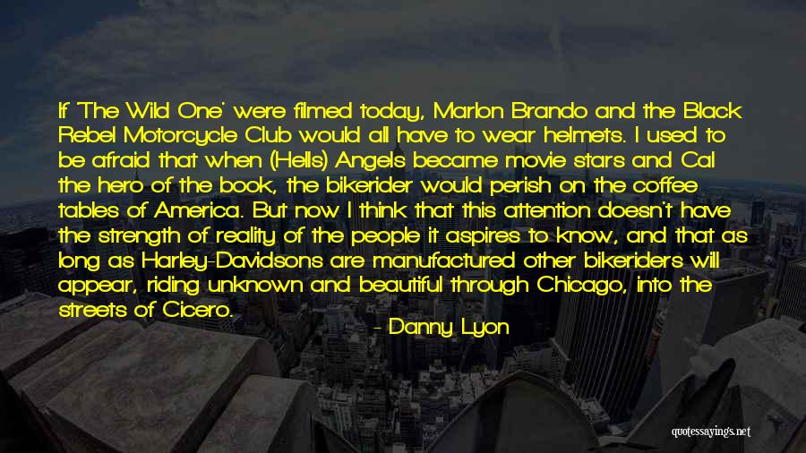 Stars And Angels Quotes By Danny Lyon