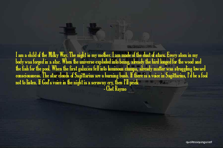 Stars And Galaxies Quotes By Chet Raymo Stars And Galaxies Quotes By Chet Raymo