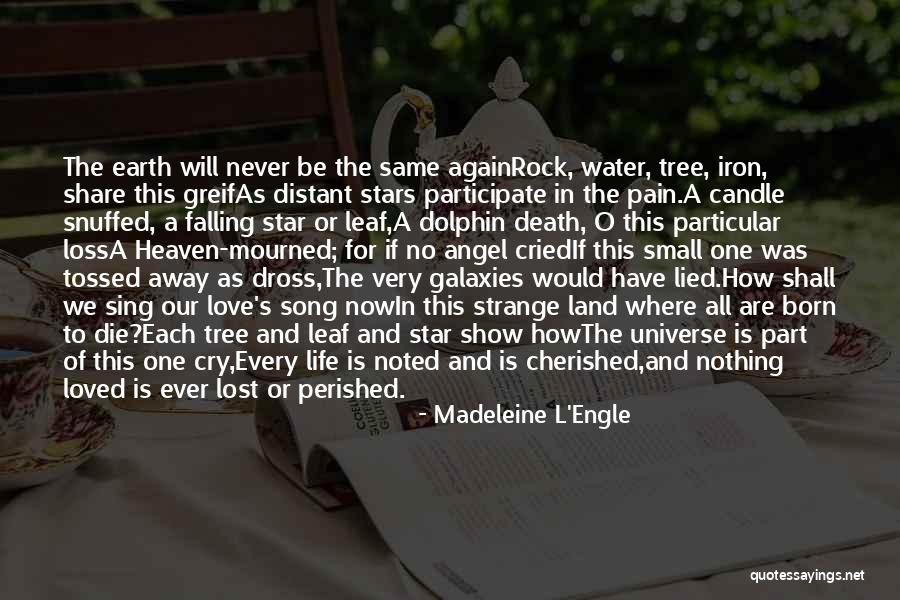 Stars And Galaxies Quotes By Madeleine L'Engle