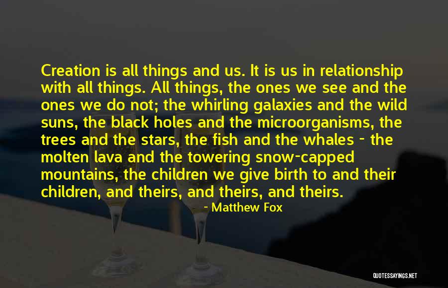 Stars And Galaxies Quotes By Matthew Fox