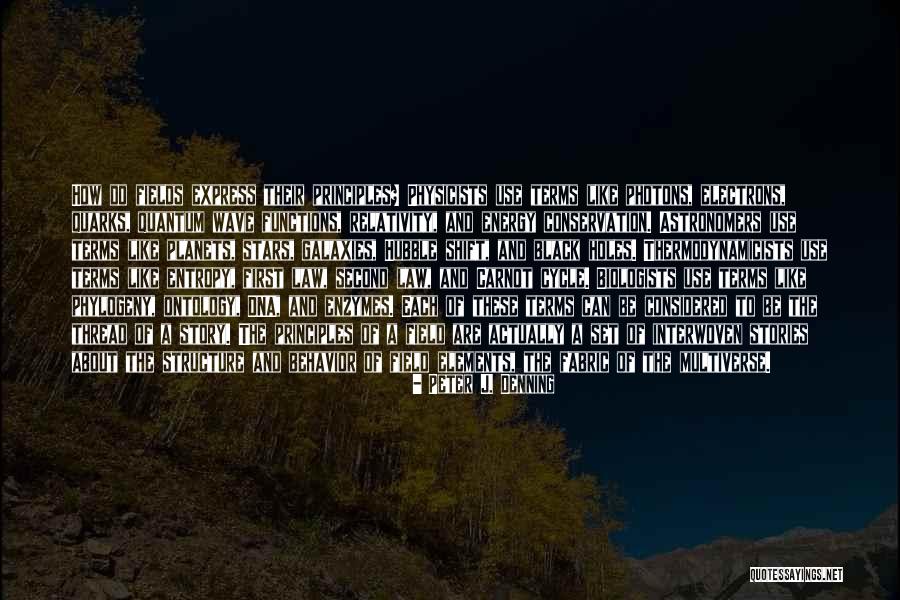 Stars And Galaxies Quotes By Peter J. Denning Stars And Galaxies Quotes By Peter J. Denning