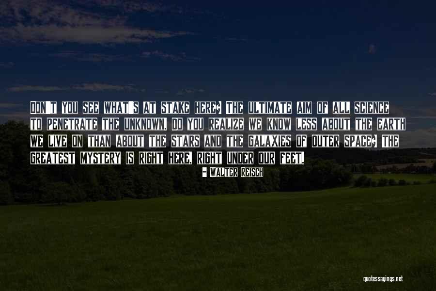 Stars And Galaxies Quotes By Walter Reisch Stars And Galaxies Quotes By Walter Reisch