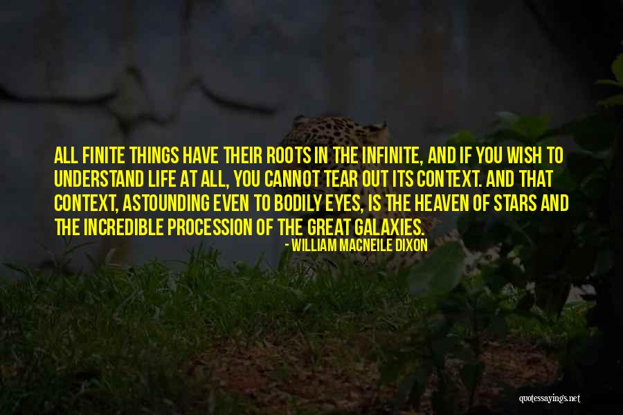 Stars And Galaxies Quotes By William Macneile Dixon