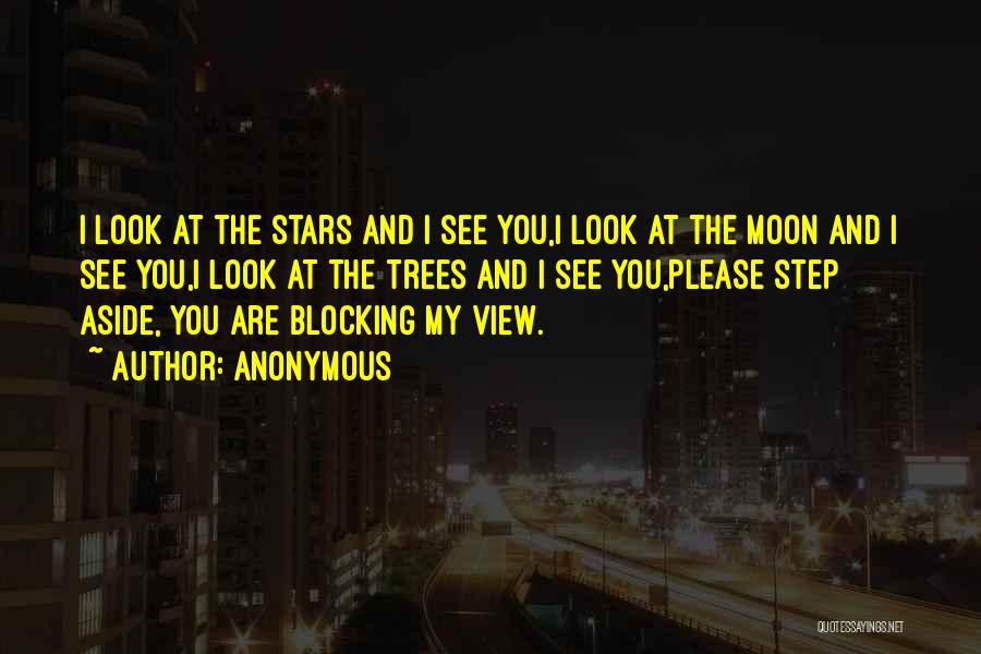 Stars And Moon Quotes By Anonymous