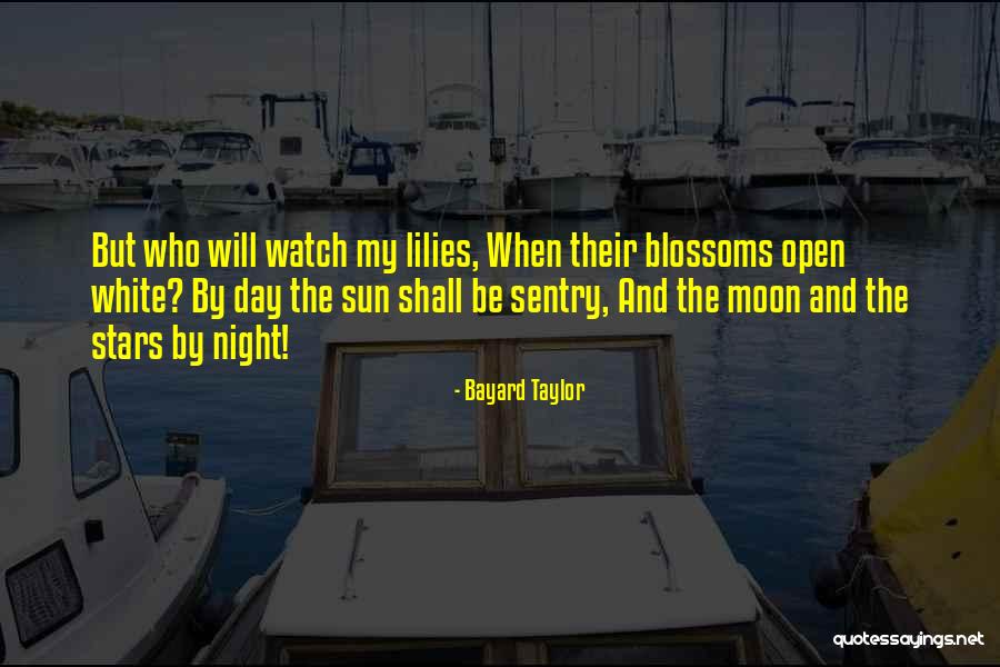 Stars And Moon Quotes By Bayard Taylor