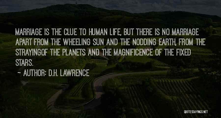 Stars And Planets Quotes By D.H. Lawrence