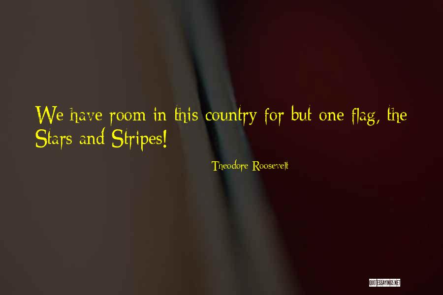 Stars And Stripes Quotes By Theodore Roosevelt