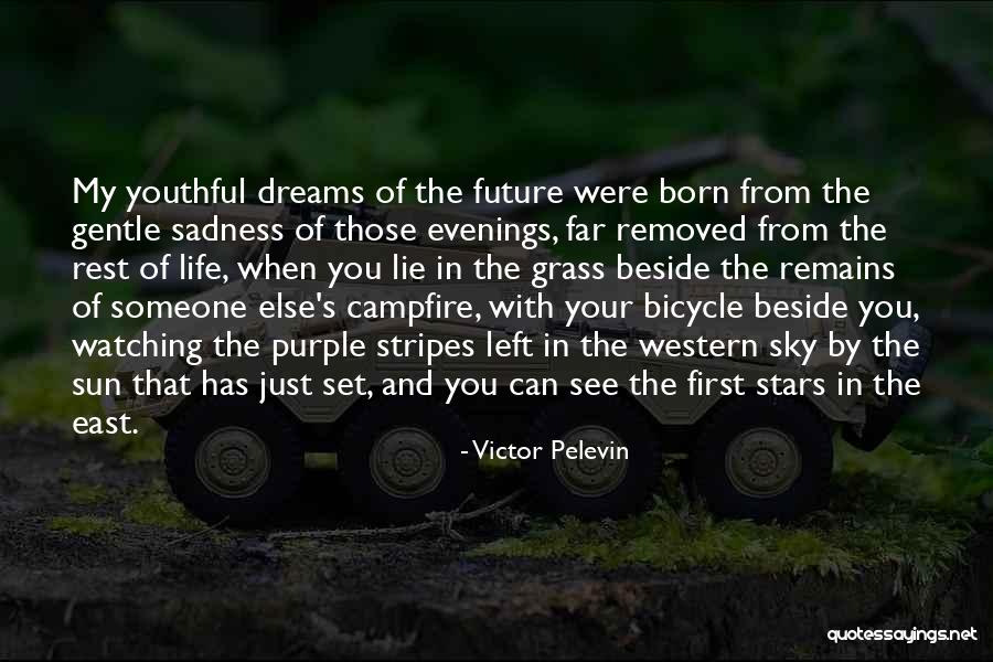 Stars And Stripes Quotes By Victor Pelevin Stars And Stripes Quotes By Victor Pelevin