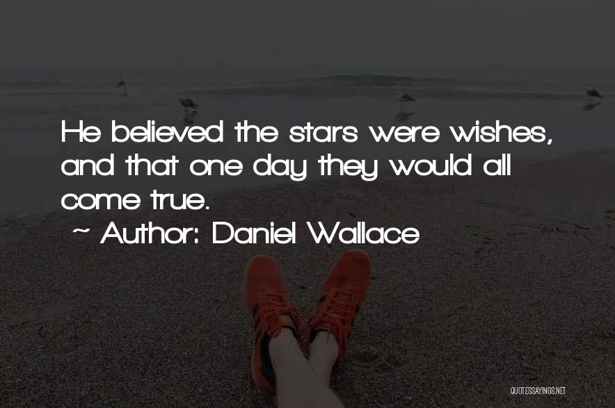 Stars And Wishes Quotes By Daniel Wallace