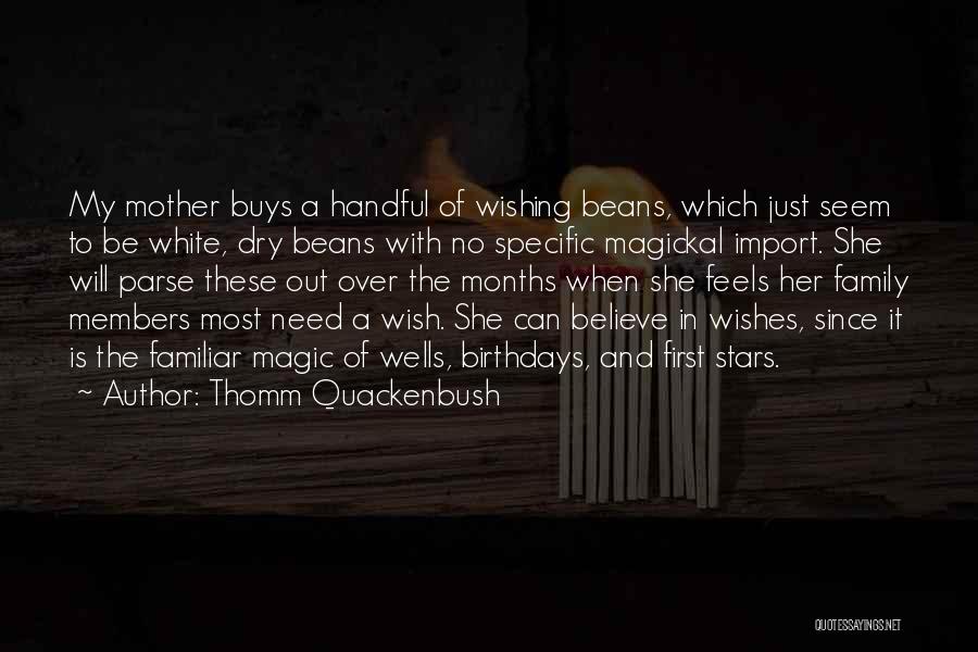 Stars And Wishes Quotes By Thomm Quackenbush