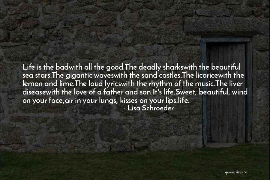 Stars In Love Quotes By Lisa Schroeder Stars In Love Quotes By Lisa Schroeder