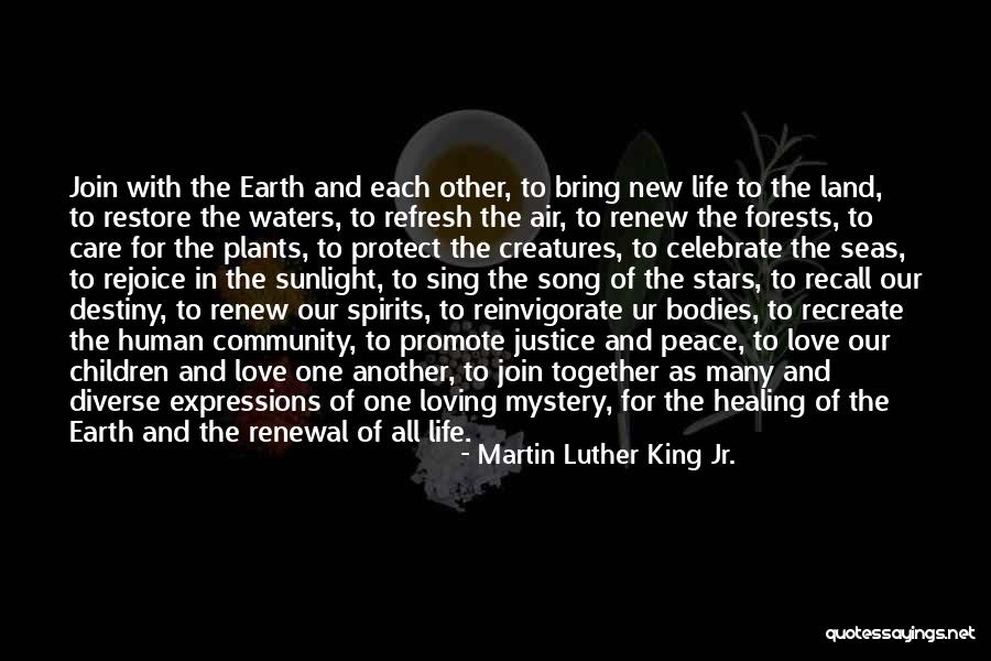 Stars In Love Quotes By Martin Luther King Jr. Stars In Love Quotes By Martin Luther King Jr.