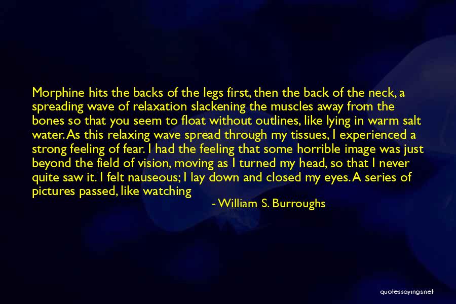 Stars In My Eyes Quotes By William S. Burroughs Stars In My Eyes Quotes By William S. Burroughs