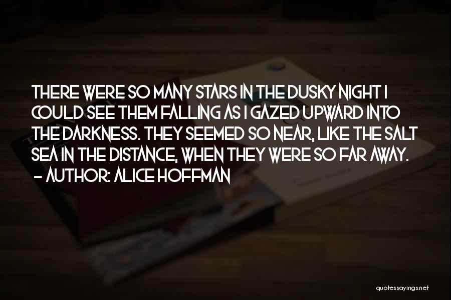 Stars In The Darkness Quotes By Alice Hoffman