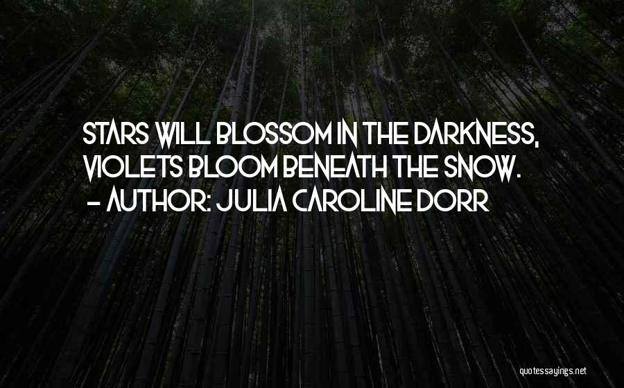 Stars In The Darkness Quotes By Julia Caroline Dorr