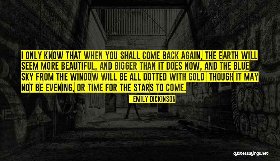Stars In The Sky Friendship Quotes By Emily Dickinson Stars In The Sky Friendship Quotes By Emily Dickinson
