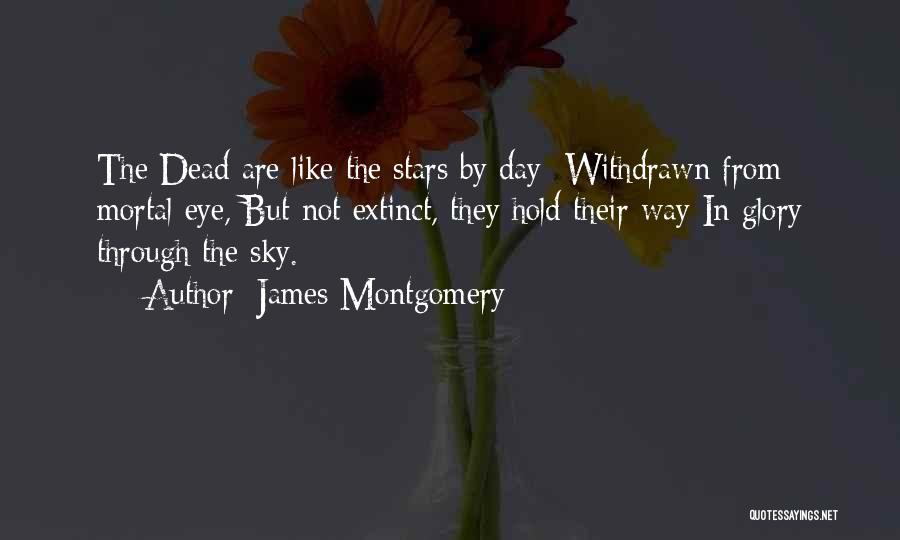 Stars In The Sky Quotes By James Montgomery