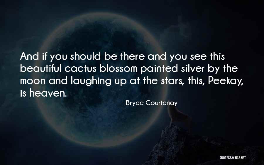 Stars Inspirational Quotes By Bryce Courtenay