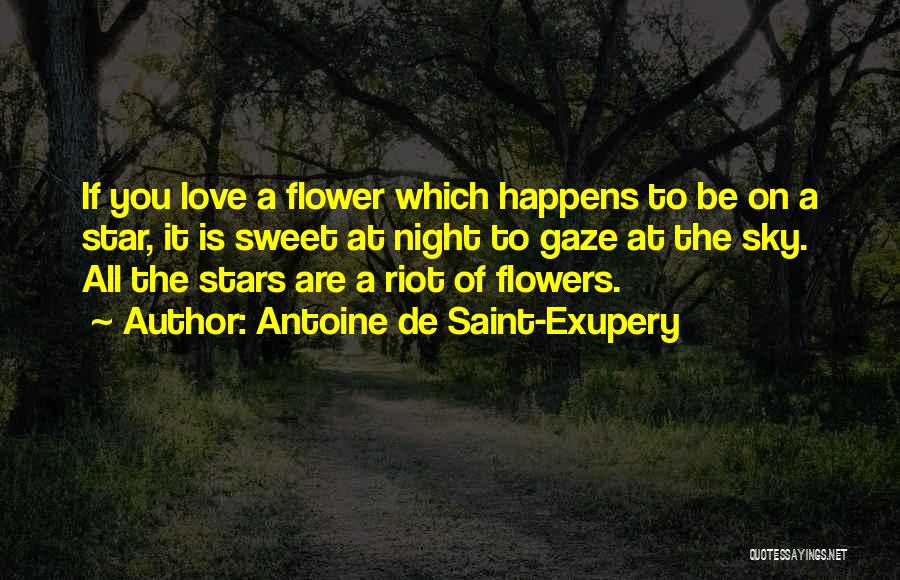Stars Night Love Quotes By Antoine De Saint-Exupery