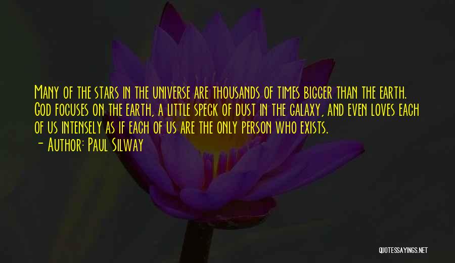 Stars On Earth Quotes By Paul Silway