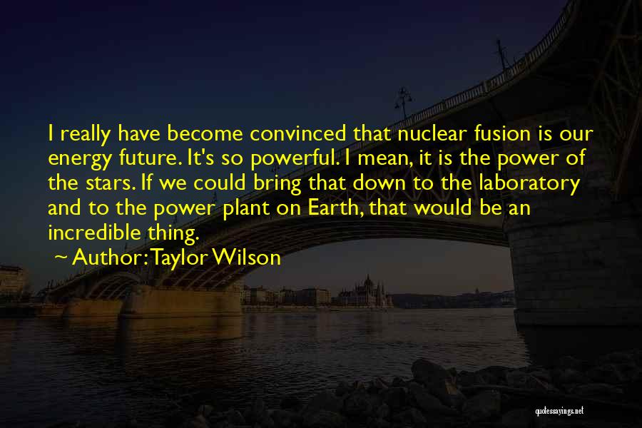 Stars On Earth Quotes By Taylor Wilson