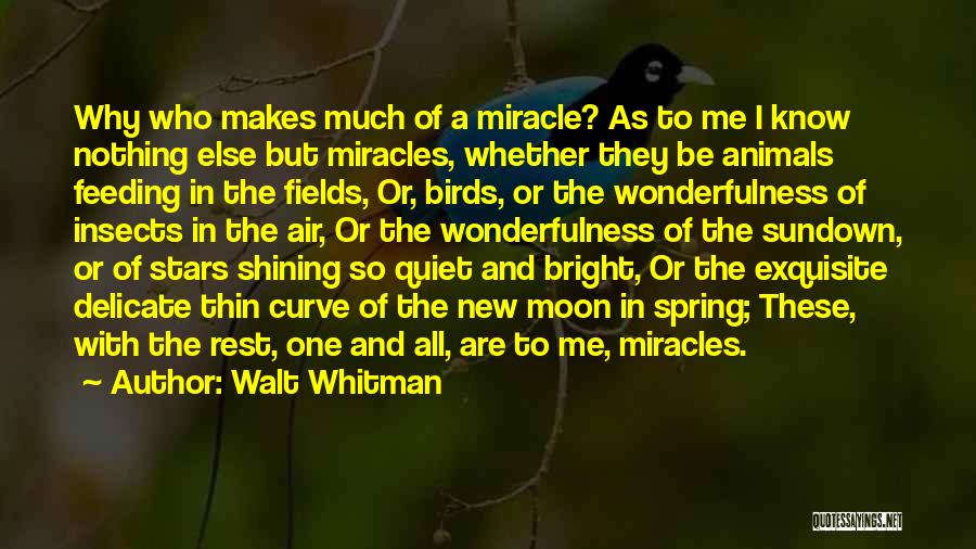 Stars Shining Quotes By Walt Whitman