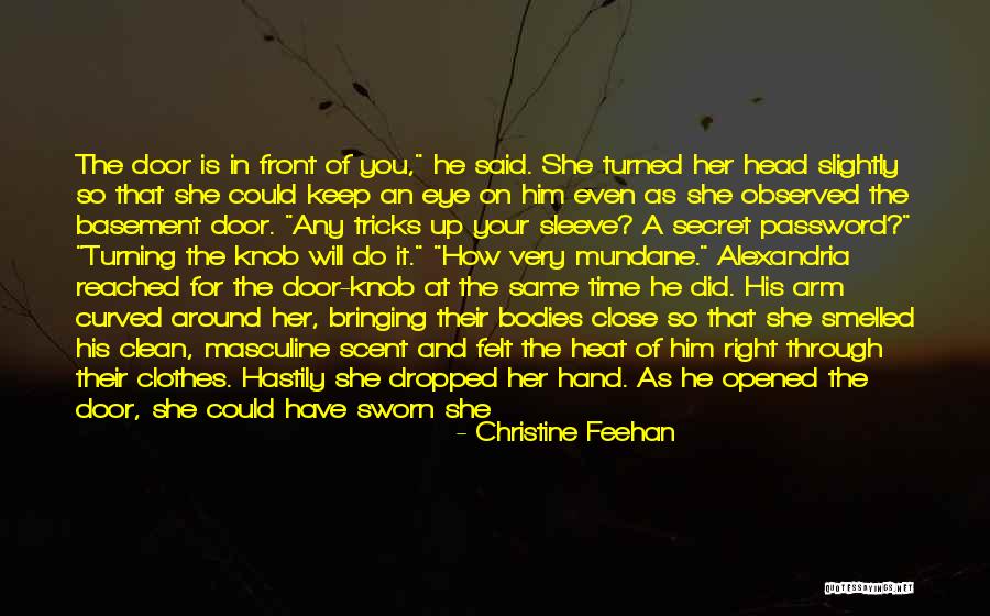 Starships Quotes By Christine Feehan