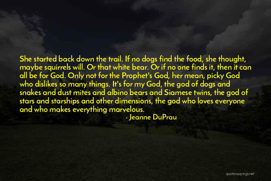 Starships Quotes By Jeanne DuPrau